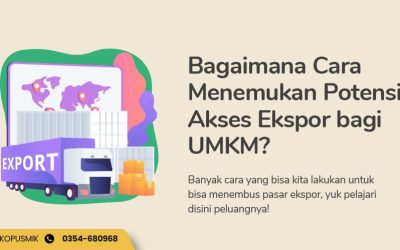 Bagaimana Cara Menemukan Potensi Akses Ekspor bagi UMKM?