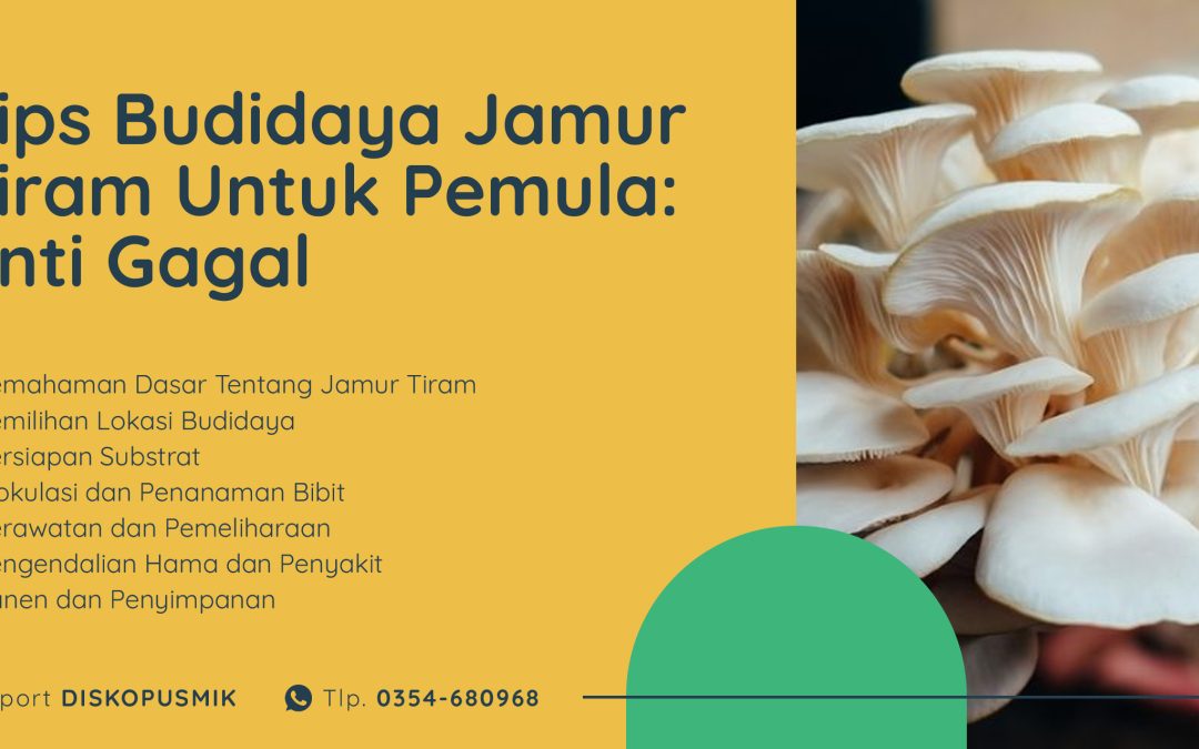 Tips Budidaya Jamur Tiram Untuk Pemula: Anti Gagal