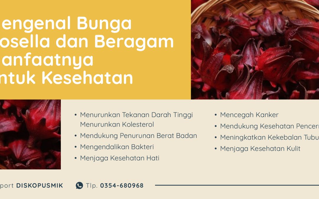 Mengenal Bunga Rosella dan Beragam Manfaatnya untuk Kesehatan